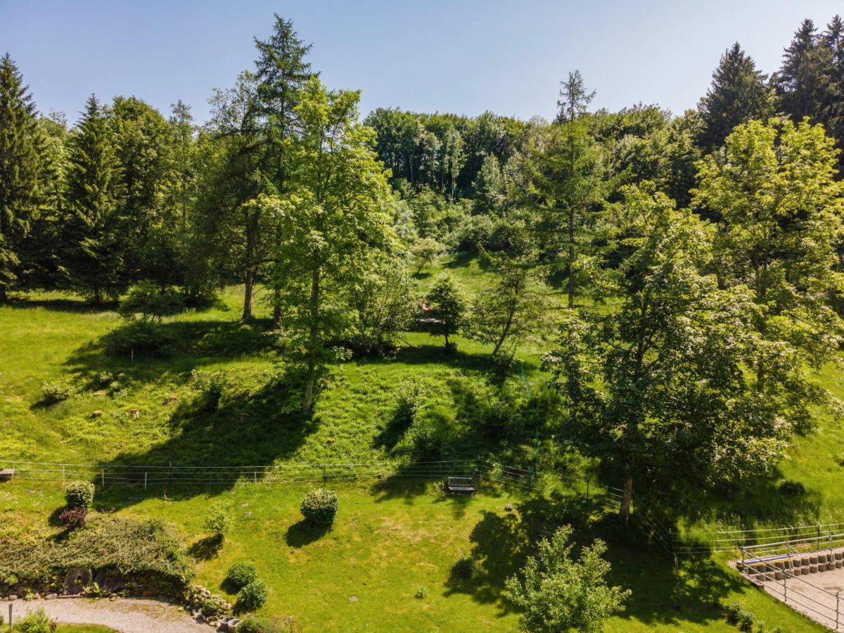 Apartament Tobelbach Weiler-Simmerberg Zewnętrze zdjęcie